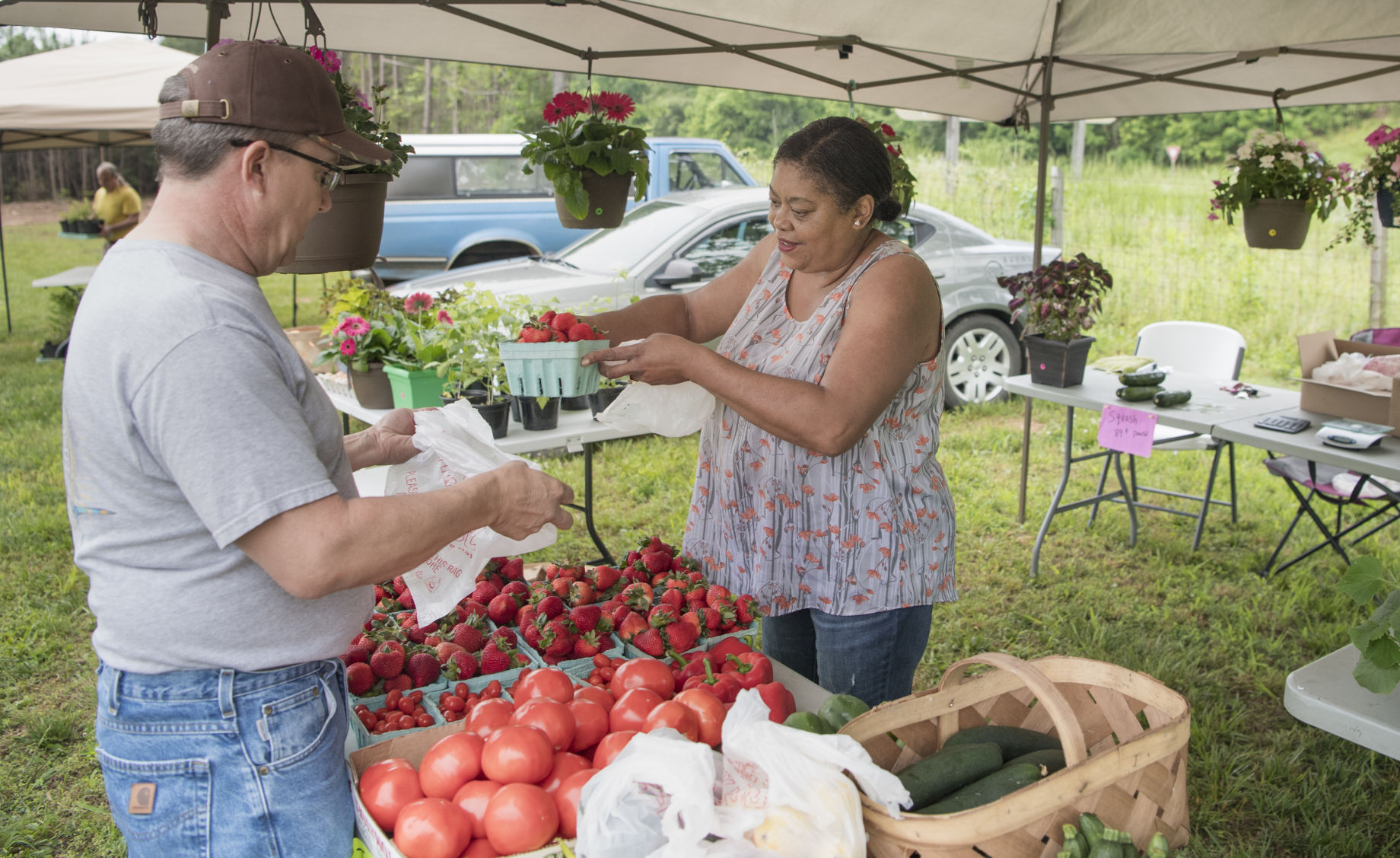 Farmers Market 01